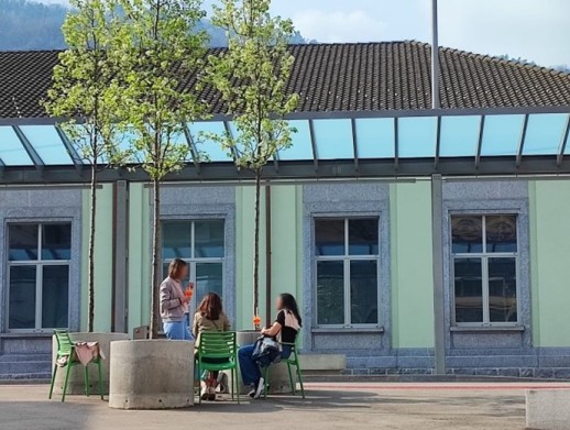 Le module d’arbre en pot implémenté à Chiasso (photo : Felicia Lamanuzzi Architetto)