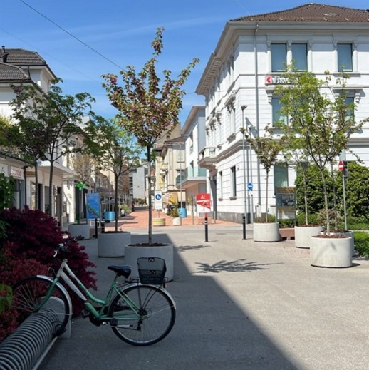 Les aménagements plantés prolongent la zone piétonne (photo : Felicia Lamanuzzi Architetto).