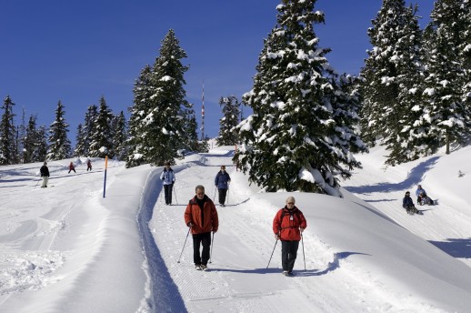 En balade sur la neige : grâce à SuisseMobile Hiver, il est plus facile de planifier sa sortie hivernale et de suivre un itinéraire (source : SuisseMobile)