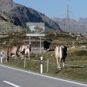 I parchi naturali svizzeri ripensano la mobilità