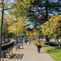 Camminare a due passi da casa: uno sguardo alla giornata di studio organizzata da Mobilità pedonale Svizzera